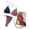 6d39b31a-b0a6-4824-b46f-a8f875ee63b8-photoroom Bikini USA