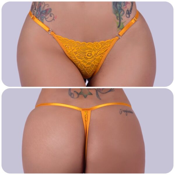 img_6515 Pantys Paxion 1